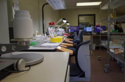 Photo Jun 24, 11 29 38