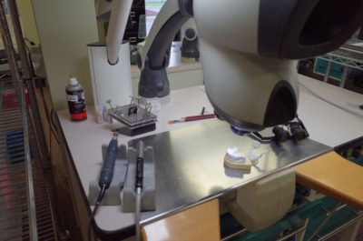 Photo Jun 24, 11 34 41