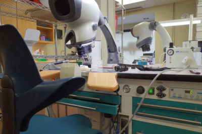 Photo Jun 24, 12 39 14